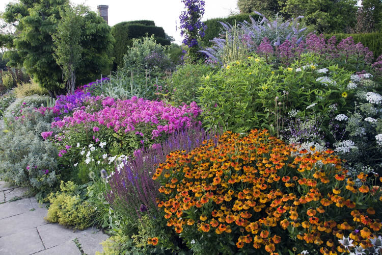The Long Border in July at Great Dixter by Carol Casselden